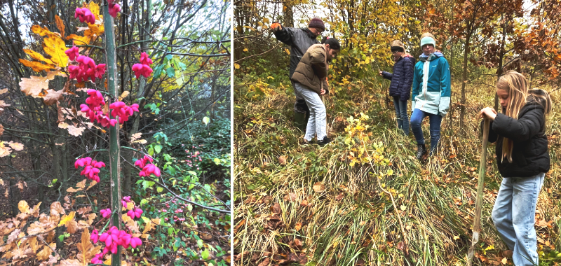 Schulwald_BumdesJahres_2025